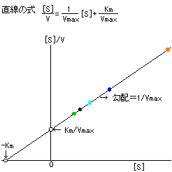 メンテン 式 ミカエリス