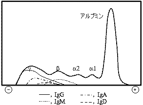 免疫 電気 泳動