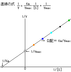 式 の ミカエリス メンテン