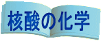 核酸の化学へ